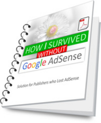Product picture How I Survived without Google AdSense